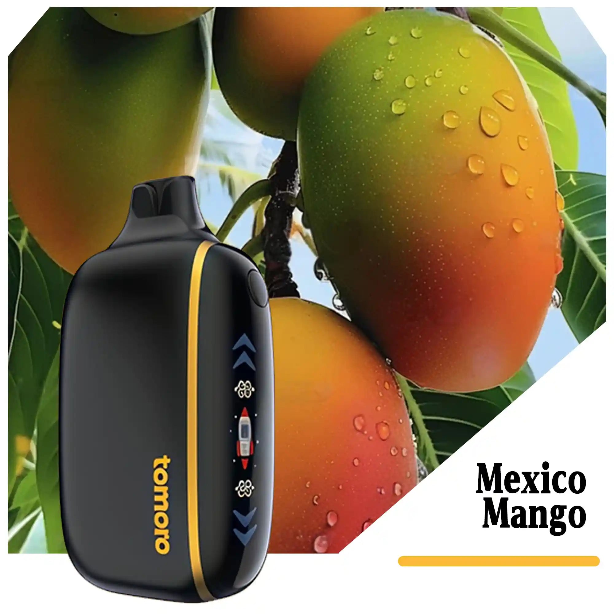 TOMORO D15 35000 PUFFS